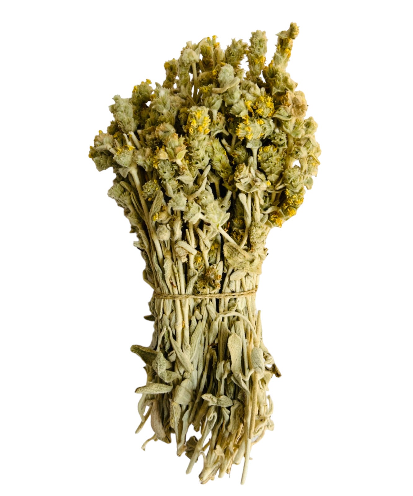 Greek Mountain Tea Malotira Sideritis Syriaca 220 grams - Harvest June 2023