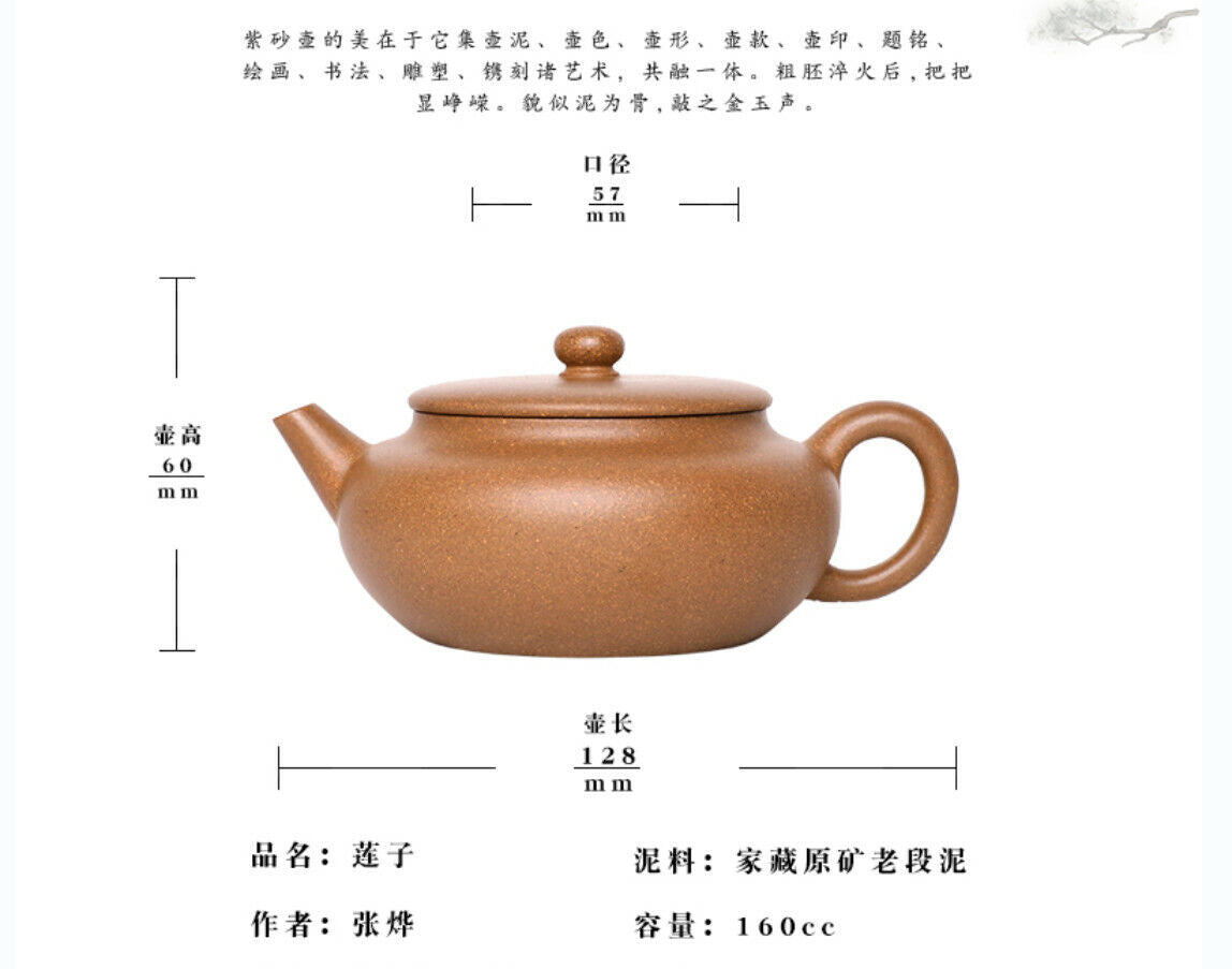 160cc chinese Yixing Handmade Zisha teapot Duan Clay ZhiLiu Gongfu Hu Tea Pot