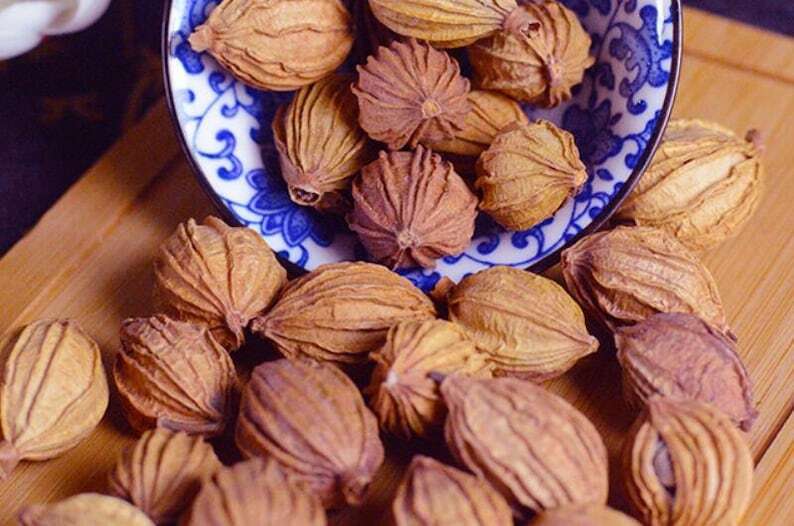 Dried Cocklebur-like Amomum Fruit Natural Fructus Amomi High Quality