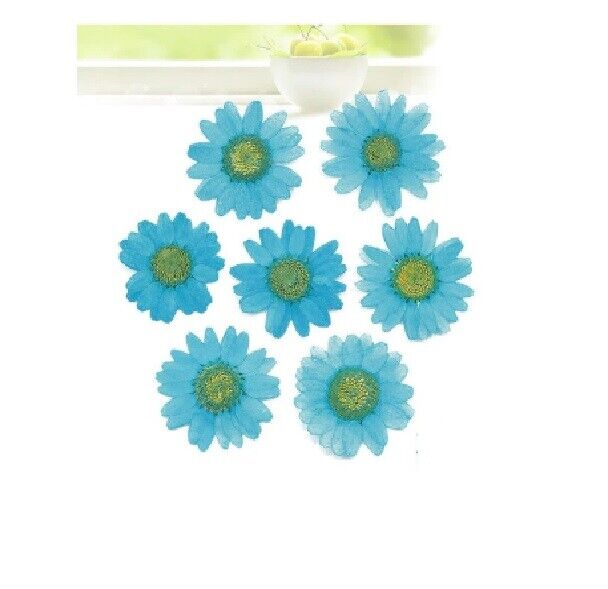 Dried Flowers Pressed Dry Daisy Epoxy Resin Jewelry Making Materials 120Pcs/Lot