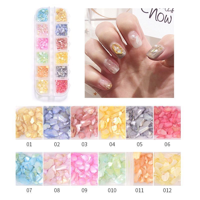 Nail Art Decor 12Design Box 3D Irregular Abalone Seashell Fragment Flakes Charms