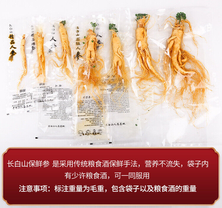 1pc Changbai Mountain Ginseng Large Fresh-preserved Ginseng 9-year-old Root