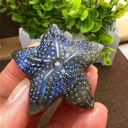 Natural Labradorite Hand Carved Starfish Skull Quartz Crystal Healing Reiki 1pc