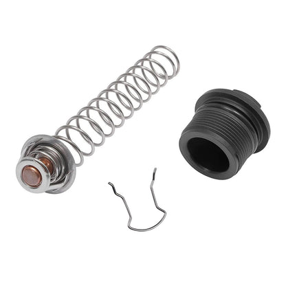 Plastic+Metal 77707-0010 Thermal Regulator Replacement Kit For Pentair Pool Spa