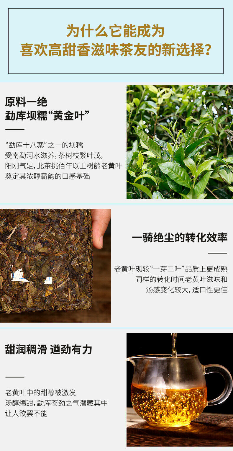 DR. PU'ER TEA Mengku Ba Nuo Yellow Leaf Huang Pian Puer Raw Tea Puerh Brick 500g