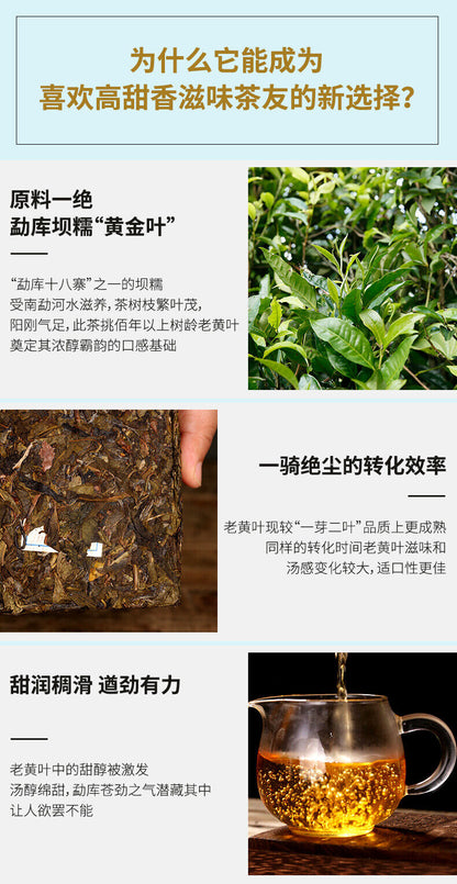 DR. PU'ER TEA Mengku Ba Nuo Yellow Leaf Huang Pian Puer Raw Tea Puerh Brick 500g