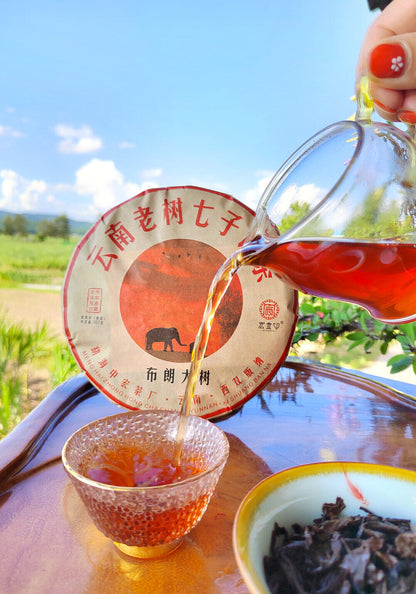 Puerh Ripe Tea Brown Mountain Ripe Tea Yunnan Seven Seed Cake Menghai Pu'er