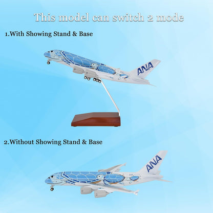 1:255 11.4inch Airbus A380 ANA Sea Turtle Metal Airplane Model Plane Toy Blue