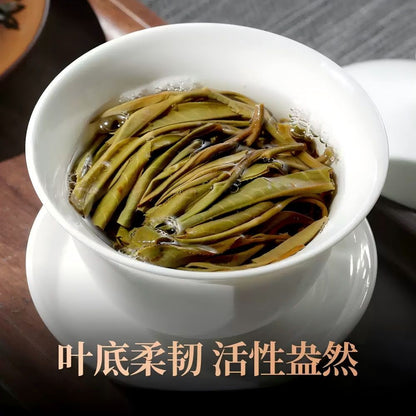 125g Raw Pu'er Tea Yunnan Menghai Select Old Arbor Pure Material Bag Pack