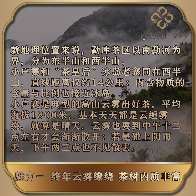 357G 2019 Xiaohu Sai Pu'er Tea Sheng Pu'er Tea Yunnan Ancient Tree Tea Cake -