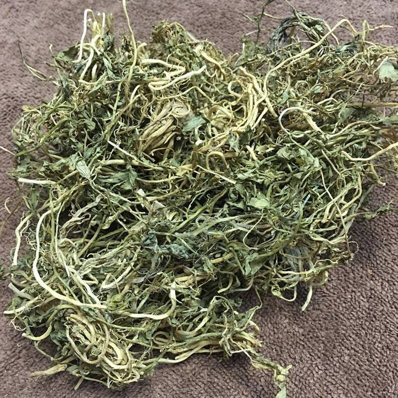 1.1LB Dried Chinese Lobelia, Lobelia Chinensis Lour., Ban Bian Lian