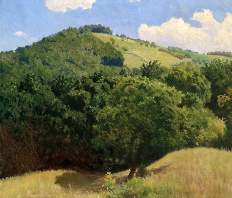Dream-art Oil painting beautiful summer hills landscape with green forest canvas