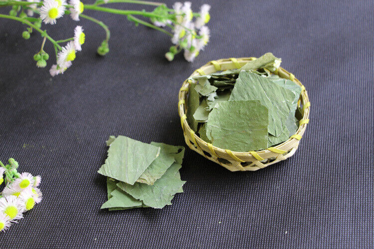 Lotus Leaf Tea Chinaes Lose Weight Green Food 20g Flower Herbal Tea Dried-