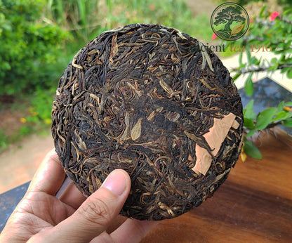 200g 2013 Yi Wu Raw Tea Ancient Tree Yunnan Pu Erh Tea Cake