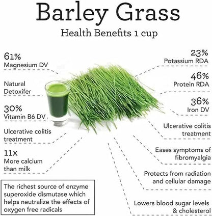 Barley Grass Powder Green Tea Barley Grass Powdered Drink for Immunity Support