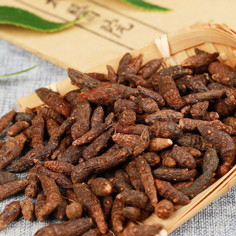 50g /250g Organic Chinese Xiangfu Herbal Tea Health Rhizoma Cyperi 精选香附