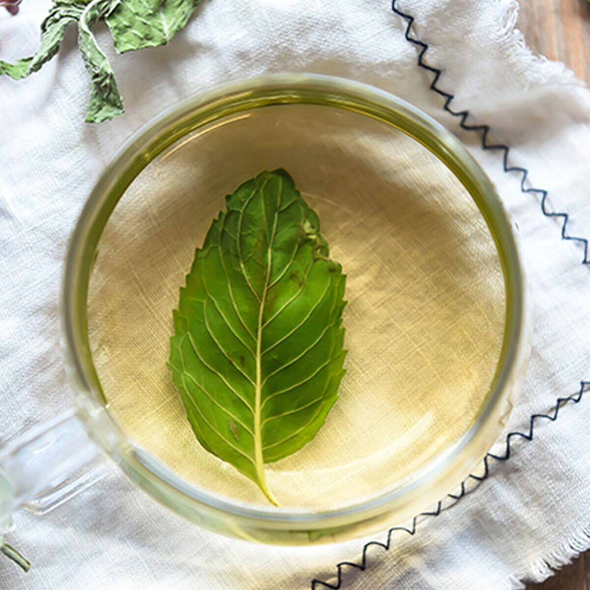 Top Grade Herbal Mentha Leave Peppermint Leaf Tea Refreshing Edible Green Food