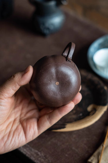 120cc chinese Yixing Handmade Zisha teapot Purple clay QieZi Hu Gongfu Tea Pot