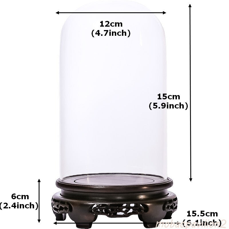 New Glass Display Dome Ebony Wood Base Case Cloche Globe Cover Protection Decor