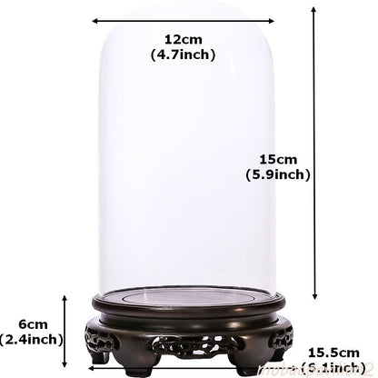 New Glass Display Dome Ebony Wood Base Case Cloche Globe Cover Protection Decor