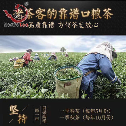 New Fresh Taiwanese Oolong Tea Alishan Good Quality Wu Long Cha 300g
