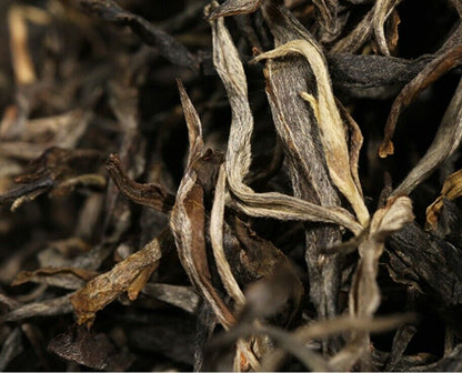 Yunnan Old Ban Zhang Gushu Pu'er Tea Chunsheng Pu'er Tea Uncooked Pu'er Tea-