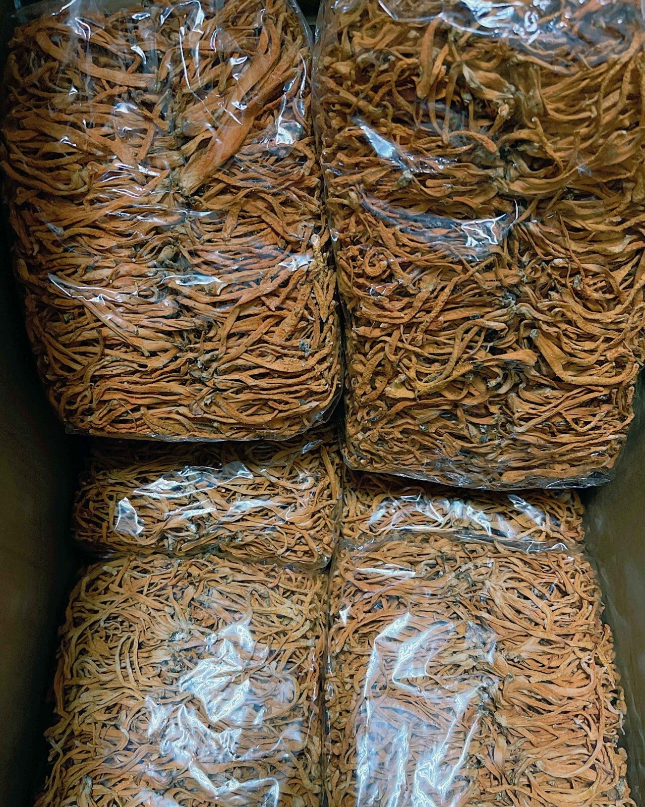 Premium High Quality Cordyceps Flowers 粗排特級蟲草花 Free Worldwide AIRMAIL