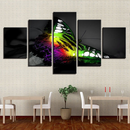 Colourful Butterfly Insect Canvas Prints Painting Wall Art Home Decor Picture 5P