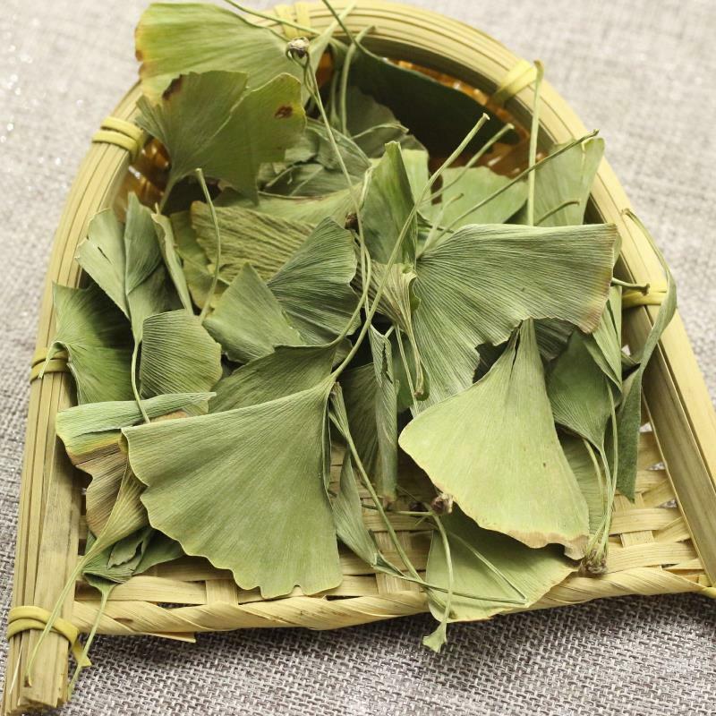 Organic Ginkgo Biloba Leaves Tea Chinese Loose Leaf Ginkgo Tea Herbal Green Tea