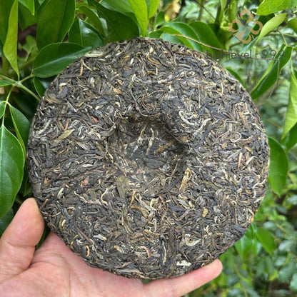 357g Raw Pu'er Aged Bulang Mountain Yunnan Compressed Tea Cake
