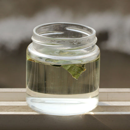 Chinese Tea Herbal Tea Lotus Leaf Loose Tea Lose Weight Green Leaf Tea