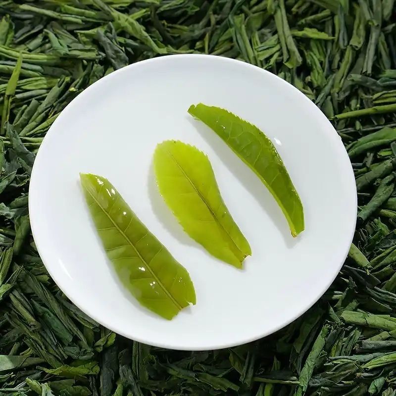 Premium Anhui Liu An Gua Pian Tea Melon Slice Green Tea Liuan Guapian