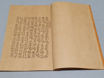 Chinese antique book "The Return of All Evil"