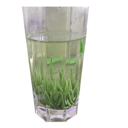 High Mount QUE SHE Green Tea Loose Leaf Sparrow Tongue Chinese Tea 100g