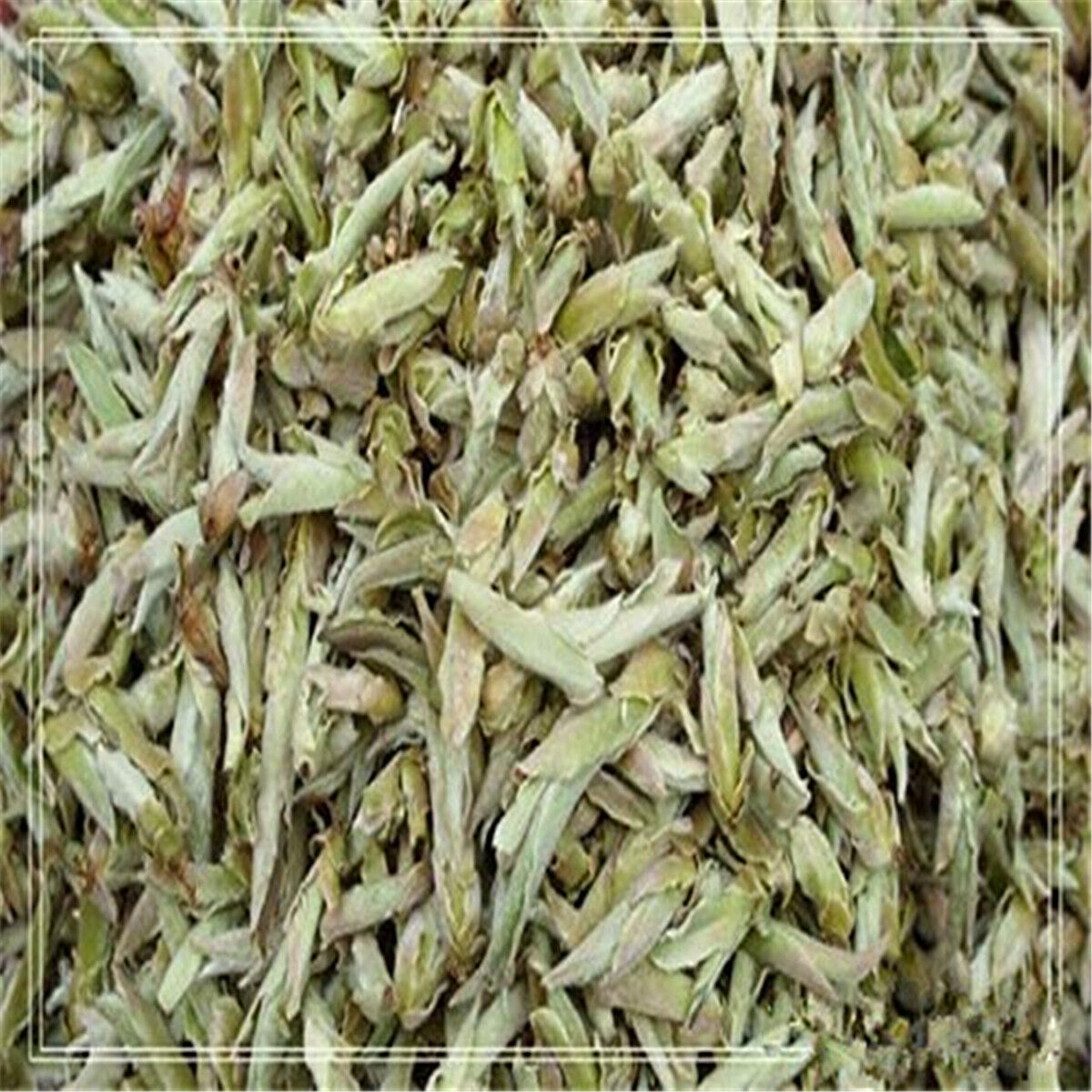 100g Organic Loose White Tea Puerh Tree Buds Wild Cha Puer Tea Anti-age Special