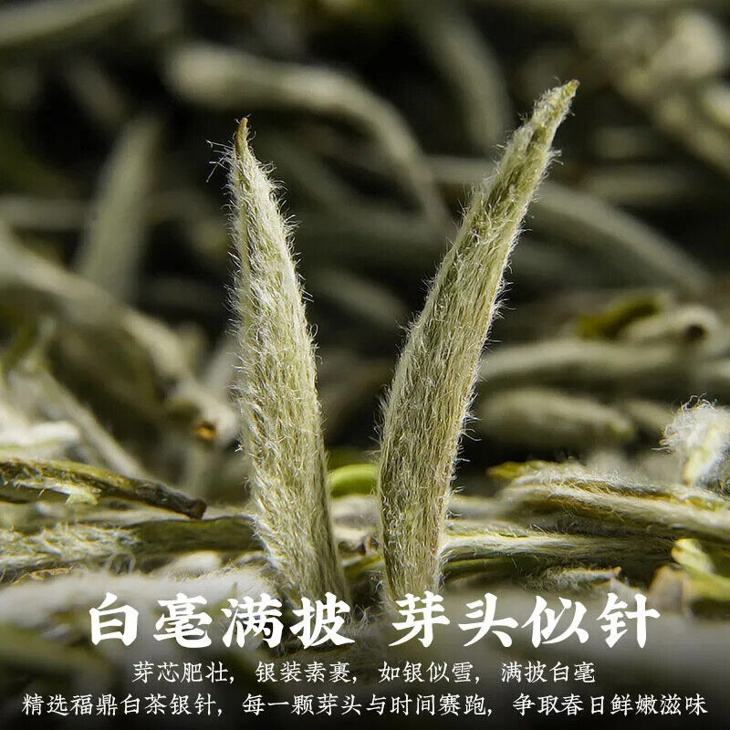 350g Top Quality White Hair Silver Needle Fuding White Tea 陈一凡 顶级品质福鼎白茶白毫银针单芽嫩芽