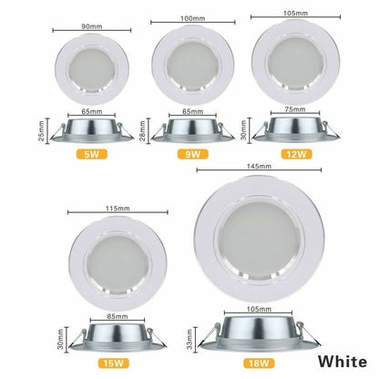 LED Downlight 5W 9W 12W 15W 18W Recessed Round Ceiling Lamp AC 220V 230V 240V