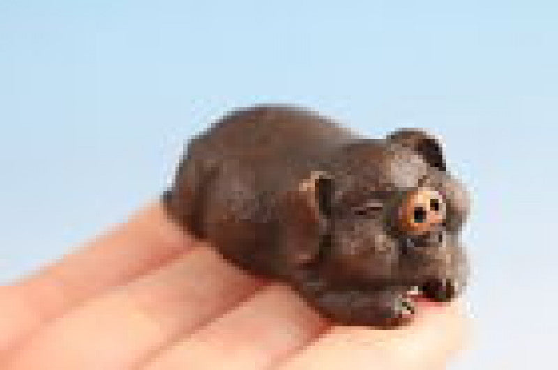 Chinese Lovely Bronze Pig Figure Statue Table Decoration Hand Piece Gift