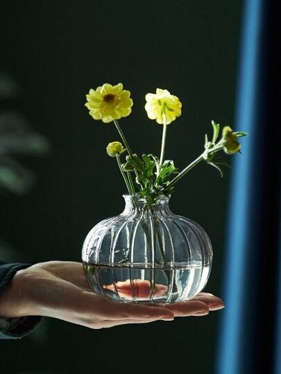 Relief Small Glass Vase Hydroponic Terrarium