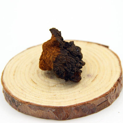 500g Inonotus Obliquus,Chaga Mushroom, Wild Bai Hua Rong Birch Tree Fungs
