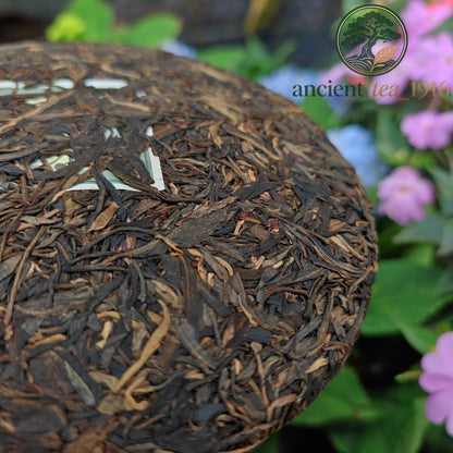 357g 2015 Gaoligong Mountain Pu'er Raw Tea Cake Yunnan Ancient Tree Aged Pu Erh