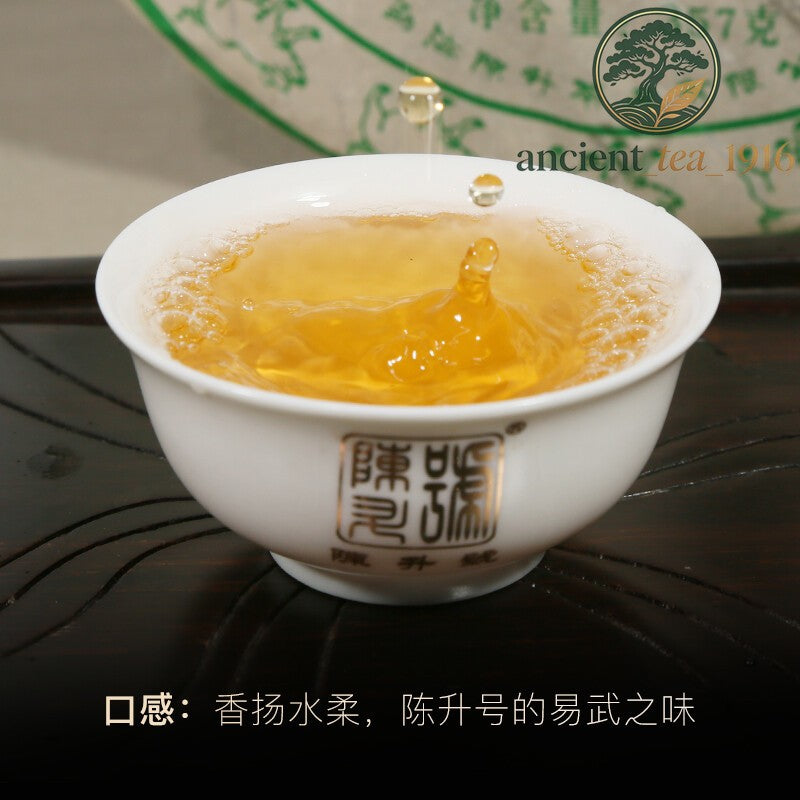 357g 2019 Chen Sheng Hao Yi Wu Big Tree Puer Raw Tea Cake Base Pure Material