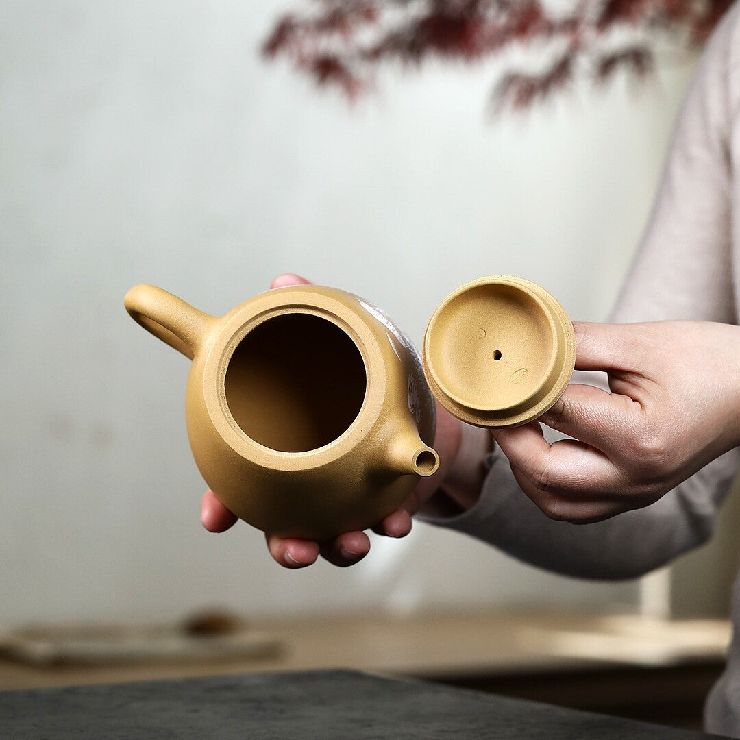 500ml Yixing Zisha Duan Clay Pottery Tea Pot Mountain Scenery Master Teapot