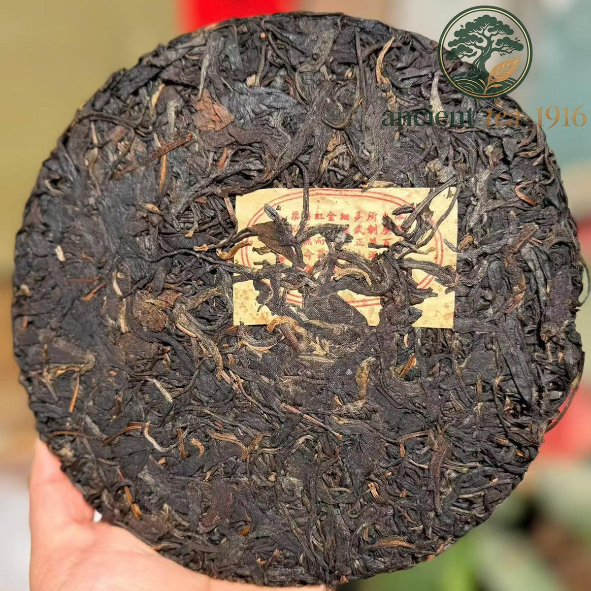 1990s Shuangshi Tongqing Red Label Raw Pu-erh 2-Cake Set