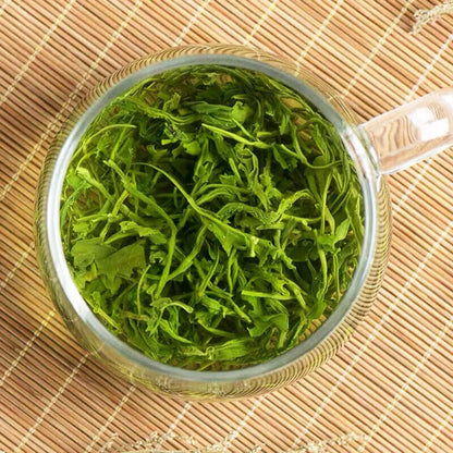 Rolls Church Green Tea New Tea Bright Front Strong Aroma Steeping Loose