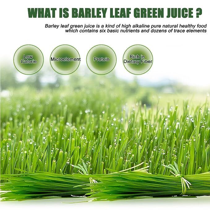 HelloYoung Barley Grass Powder Original 100% Healthy Green Tea 50-500g