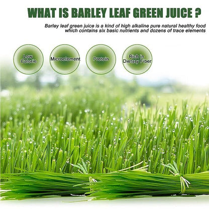 HelloYoung Barley Grass Powder Original 100% Healthy Green Tea 50-500g
