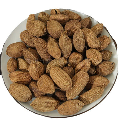 砂仁 中药材Chinese herbal medicine of amomum kernel