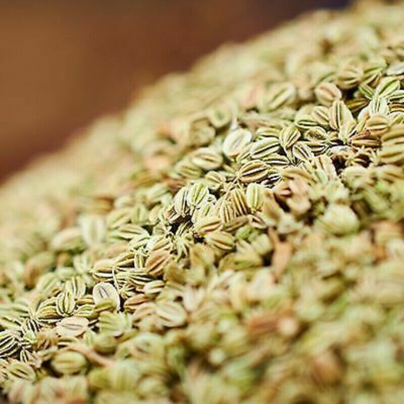 100% Natural Cnidium Monnieri Seed Herb She Chuang Zi Chinese Herbs