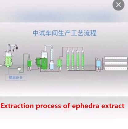 20:1 Wild Natural Puer Herbs Green MH Tea Powder huang Herbal extract